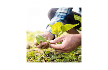 COMO EL GNSS MEJORA LA AGRICULTURA